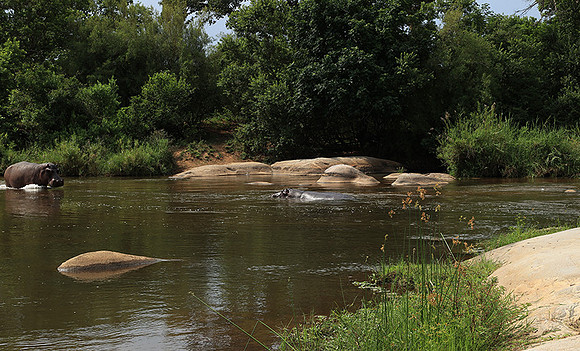 At Lion Sands