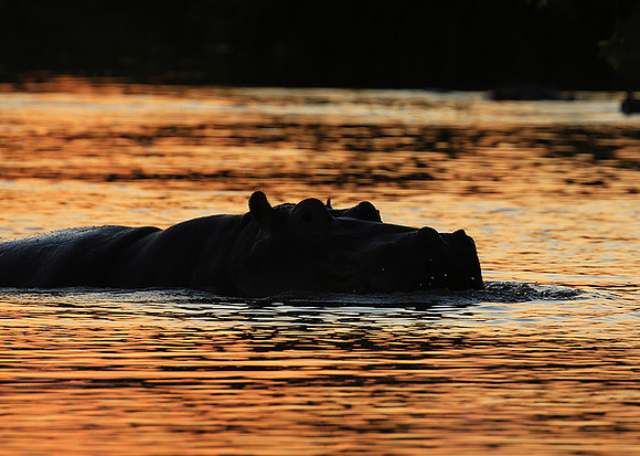 Kruger NP