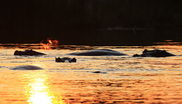 Kruger NP