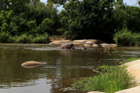 At Lion Sands