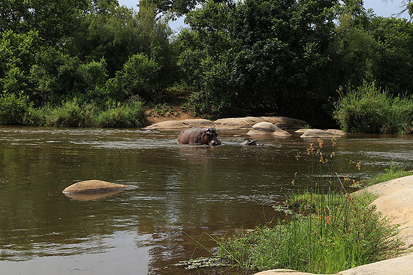 At Lion Sands
