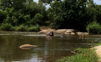 At Lion Sands