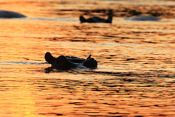 Kruger NP
