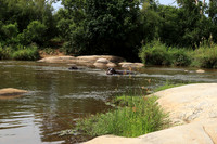 At Lion Sands