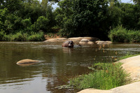 At Lion Sands