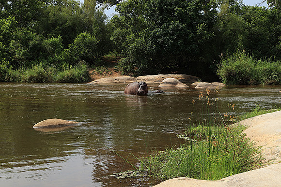 At Lion Sands