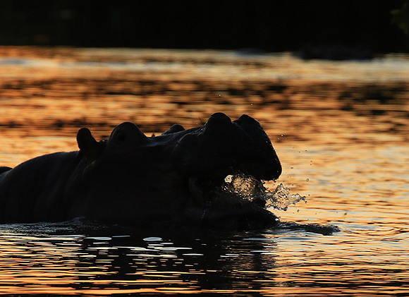 Kruger NP