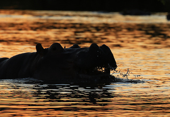 Kruger NP