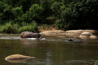 At Lion Sands