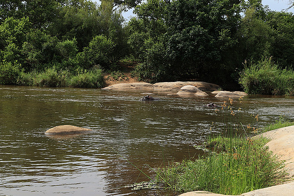 At Lion Sands