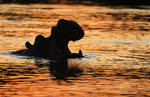 Kruger NP