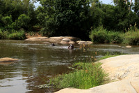 At Lion Sands