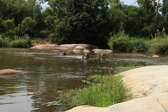 At Lion Sands