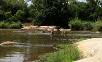 At Lion Sands