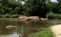 At Lion Sands
