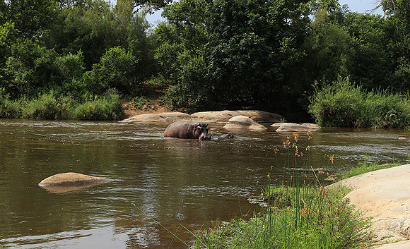 At Lion Sands
