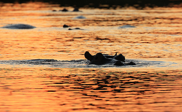 Kruger NP