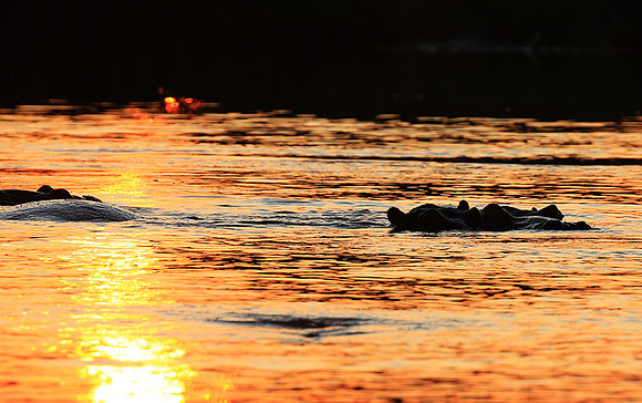 Kruger NP