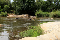 At Lion Sands