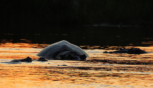 Kruger NP