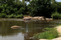 At Lion Sands