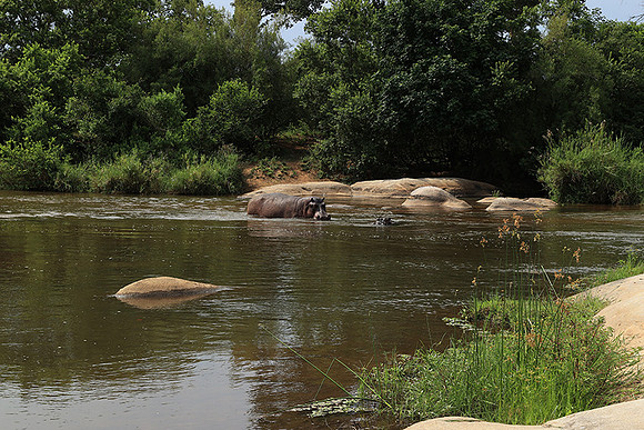 At Lion Sands