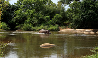 At Lion Sands