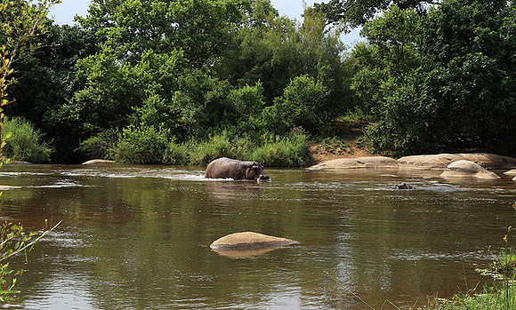 At Lion Sands