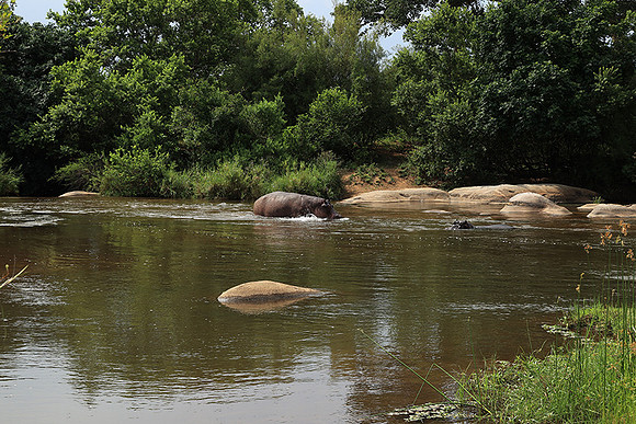 At Lion Sands