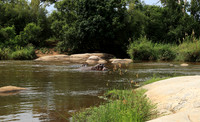 At Lion Sands