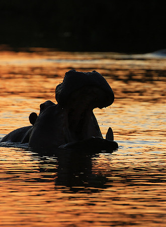Kruger NP