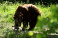 Parc animalier de Ste Croix