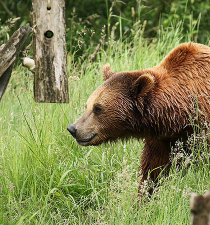 Parc animalier de Ste Croix