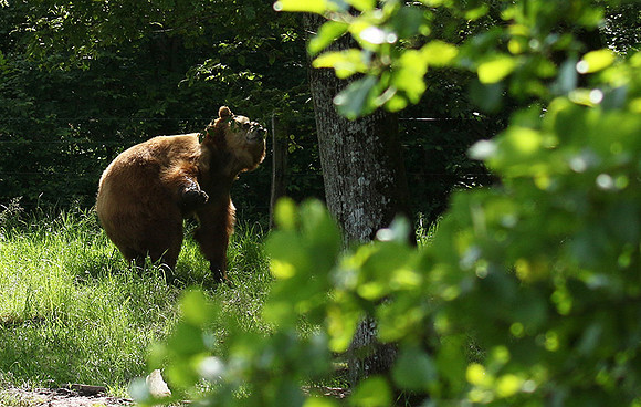 Parc animalier de Ste Croix