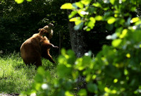 Parc animalier de Ste Croix