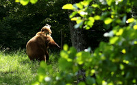 Parc animalier de Ste Croix