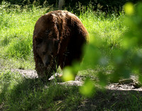 Parc animalier de Ste Croix