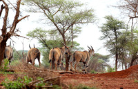 Meru NP
