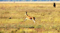 Liuwa Plain NP