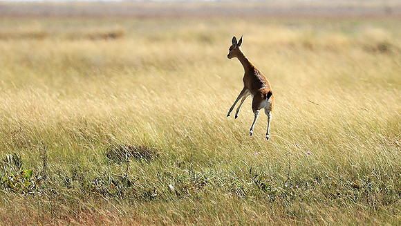 Liuwa Plain NP