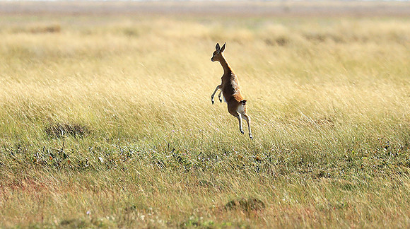 Liuwa Plain NP