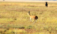 Liuwa Plain NP
