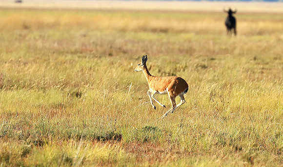 Liuwa Plain NP