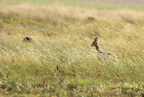 Liuwa Plain NP