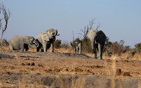 Hwange NP