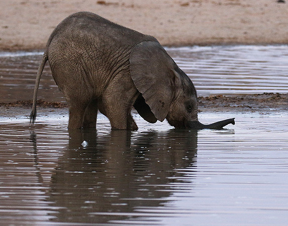 Hwange NP
