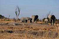 Hwange NP
