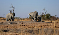 Hwange NP