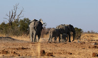 Hwange NP