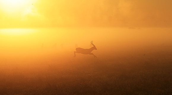 Morning mist - Kafue NP